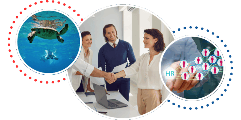 Master in Human Resources